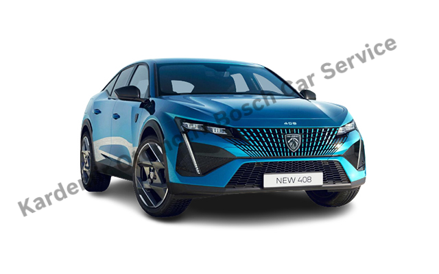 Ankara Peugeot Özel Servis