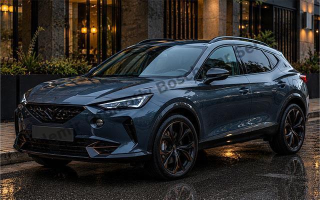 Cupra Özel Servis